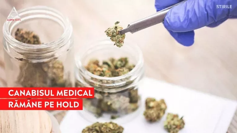 Camera Deputatilor dezbate utilizarea canabisului in scop medicinal