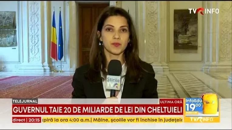 Guvernul trebuie sa taie 20 de miliarde de lei din cheltuielile publice