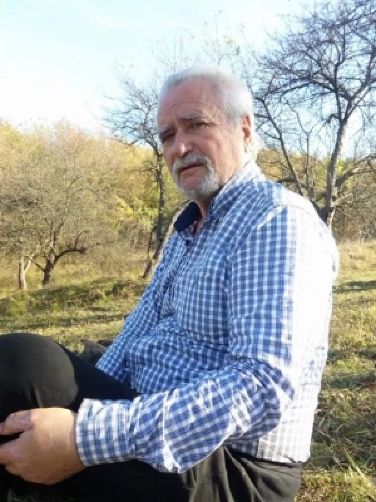 Scrisoarea poetului si jurnalistului Lucian Avramescu catre Google si Facebook