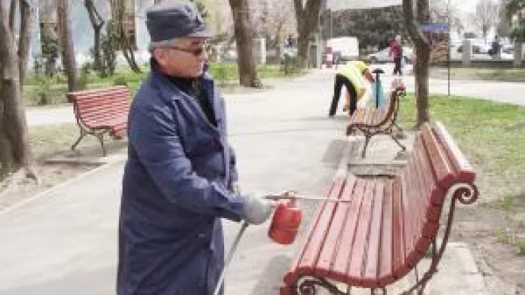 Seful Administratiei Parcurilor a trecut  la munca de jos