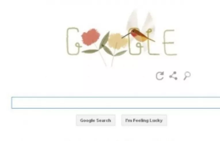 ZIUA PAMANTULUI celebrata de GOOGLE:  PASAREA COLIBRI, CAMELEONUL, GANDACUL DE BALEGAR, MACACUL JAPONEZ, PESTELE BALON si MEDUZA 